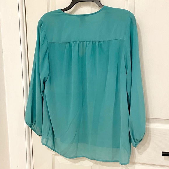 Sheer v-neck button up blouse with puff sleeves - Picture 3 of 4